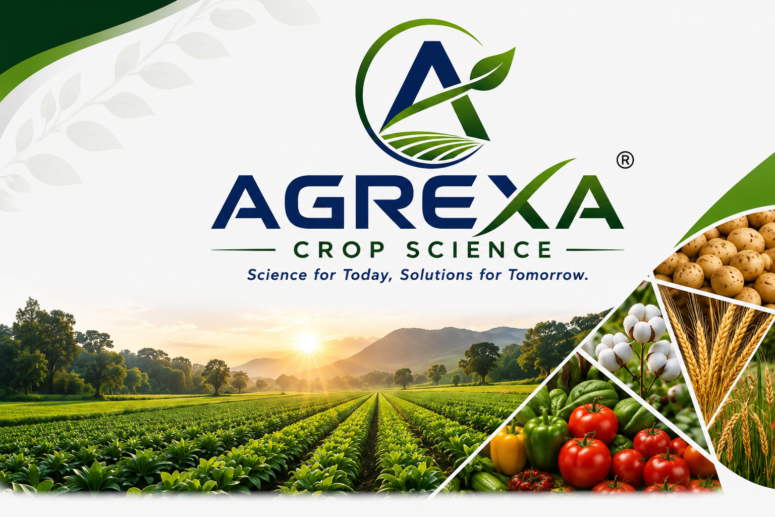 AGREXA Crop Science